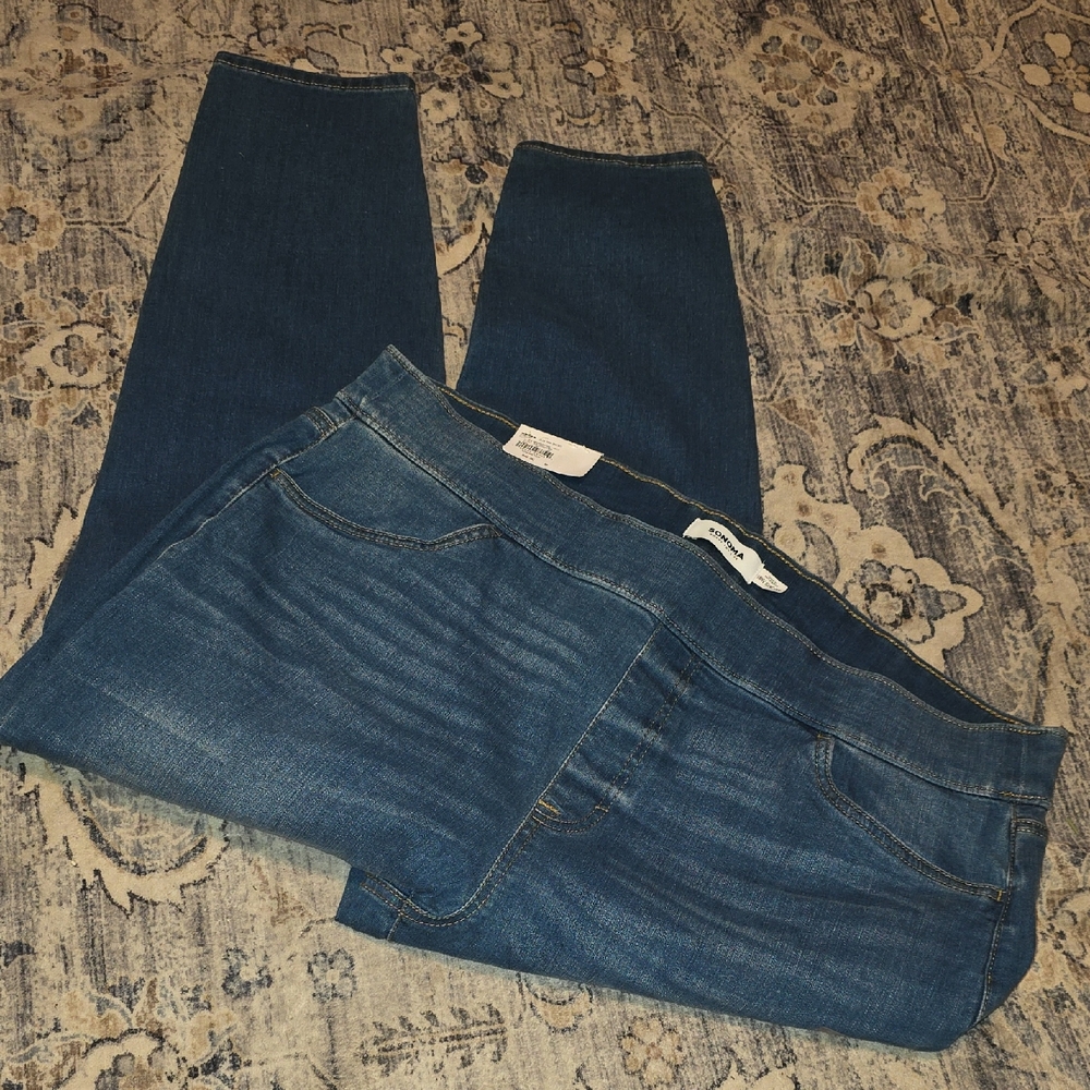 Sonoma Dark Blue Women's Skinny Jean Jeggings 18 W Short NWT